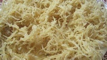 Công dụng tuyệt vời của rau câu chỉ vàng