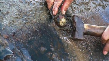 Vá đập cao su trữ 10 triệu m3 nước bằng gỗ và vải màn ngủ