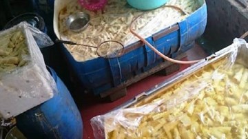20 tấn măng tươi đốt ủ bằng lưu huỳnh bị phát hiện