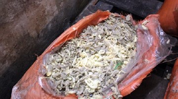 35 tấn măng hôi thối, có dòi bị phát hiện ở Nghệ An