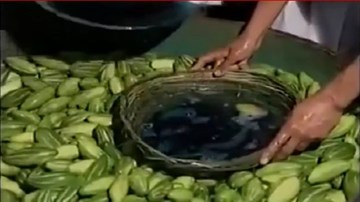 Lật tẩy chiêu nhuộm xanh dưa chuột, nhuộm đỏ dưa hấu