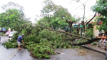 Lốc xoáy thổi bay hàng trăm nhà dân