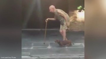 Ngưỡng mộ chú chó kiên nhẫn nhất quả đất
