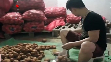 Cơ sở rau sạch Nguyễn Thị Tưởng nhập nhằng về nguồn gốc xuất xứ