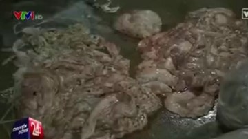 Tẩy trắng nội tạng bò bằng... hóa chất