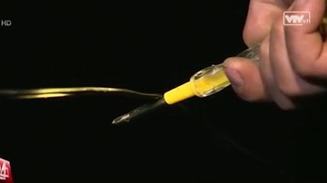 Hải Phòng: Chính quyền phản hồi việc người dân dùng điện 220V bẫy chuột