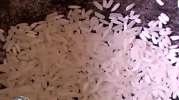 Phát hiện gạo vo không đục nước, rang trắng như nhựa