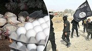 Hết tiền, phiến quân IS ra chợ bán trứng gà giá rẻ