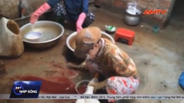 Rùng mình cảnh 