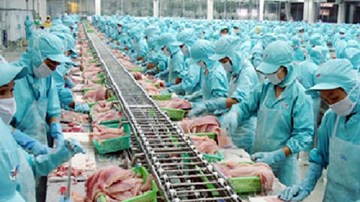 Mỹ: Công nhân chế biến gà phải... đóng bỉm đi làm