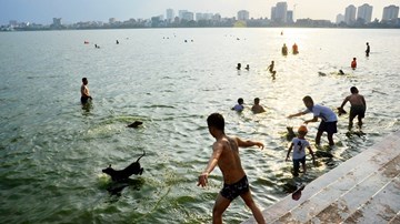 Nắng nóng, dân Hà Nội cho... chó đi tắm Hồ Tây