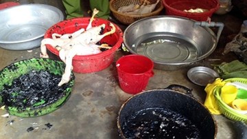 Bộ NN&PTNT cấm sử dụng nhựa thông trong giết mổ gia cầm