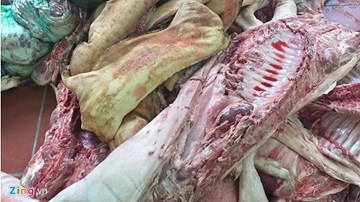 Phát hiện hàng chục điểm thu gom lợn chết