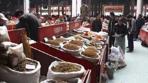 Thuốc bắc chứa thuốc diệt nấm cao hơn 313 lần cho phép ở Hongkong