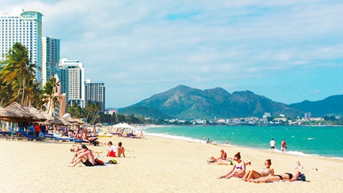 Vì sao phải thêm cây xanh trên bờ biển đẹp nhất Nha Trang?