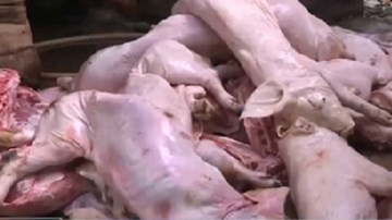 Xử lý cơ sở 