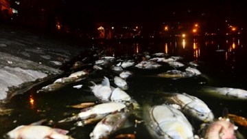 Cận cảnh hồ Hoàng Cầu sau 