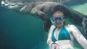 Thót tim chứng kiến cảnh cô gái Australia bơi cùng cá sấu khổng lồ
