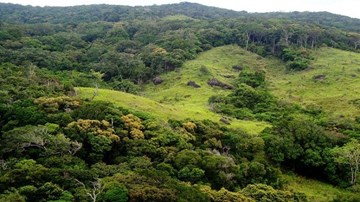 Cán bộ Vườn quốc gia Núi Chúa bị đâm chết khi đi tuần