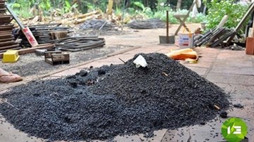 Tuyệt chiêu đơn giản xua đuổi bọ đậu đen
