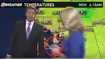 Mải chơi Pokemon GO, nữ MC 'thản nhiên' phá hỏng bản tin trực tiếp