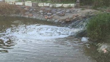 Thanh Hóa: Cá chết vì nước thải của công ty bia