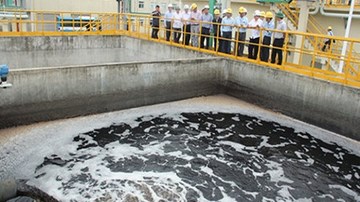 Vi phạm của Formosa không đếm xuể