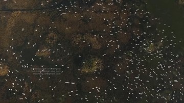 Cảnh sắc Việt Nam nhìn từ trên cao đẹp đến nao lòng