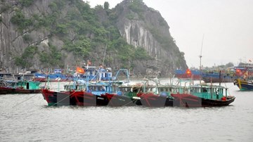 Ứng phó khẩn cấp với bão số 1