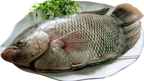 Tuyệt chiêu khử mùi hôi tanh của thực phẩm trong chớp mắt