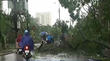 Thái Bình tan hoang sau bão số 1