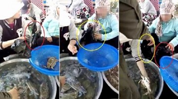 Clip 3 phụ nữ 'dàn trận' biến ghẹ sống thành ghẹ chết để lừa khách