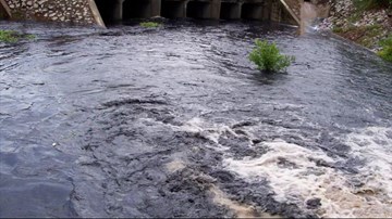 Công ty thuộc khu công nghiệp Formosa Đồng Nai xả thải gây ô nhiễm