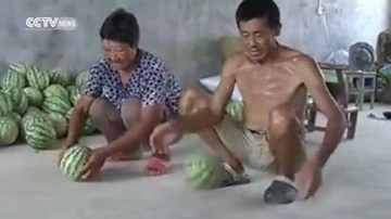 Kỳ lạ loại dưa hấu nảy tưng tưng như bóng cao su khi bị ném xuống đất