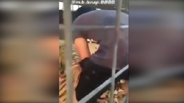 Cố đùa với hổ, chàng trai bị cắn dập chân