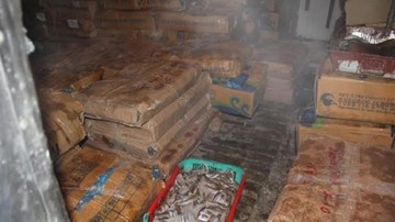 Rúng động với 8 tấn cá biển tồn kho chứa chất độc gây ung thư tại Hà Tĩnh