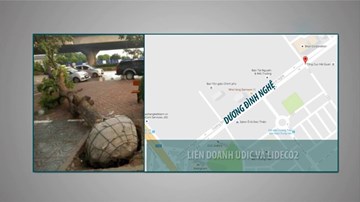 Hà Nội công bố tên công ty trồng cây còn nguyên bọc nilon