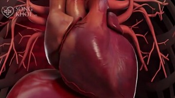 Thất tình sẽ ảnh hưởng đến cơ thể như thế nào?