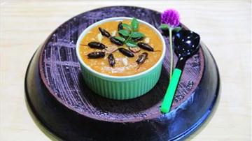 Mê mẩn với 