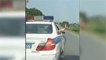 Tranh cãi xung quanh đề xuất tăng quyền sử dụng súng cho CSGT