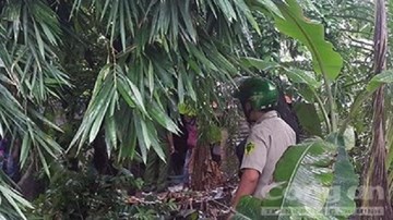 Cụ ông chết thảm bên chiếc búa tạ dính máu