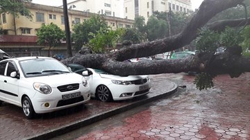 Bão số 3 càn quét, miền Bắc thiệt hại nặng nề