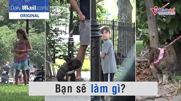 Hai em bé, một con chó, một con mèo - Ai sẽ được 'giải cứu' đầu tiên?