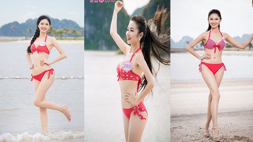 5 gương mặt tiềm năng cho vương miện Hoa hậu Việt Nam 2016