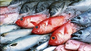 Giải pháp nào cho hải sản đông lạnh tồn kho sau sự cố Formosa?