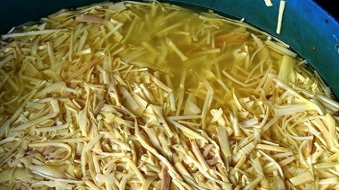 Bắt quả tang cơ sở dùng hóa chất ngâm tẩm gần 3 tạ măng tươi