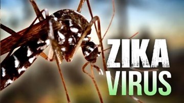 Nhật Bản xác nhận ca nhiễm Zika đến từ Việt Nam