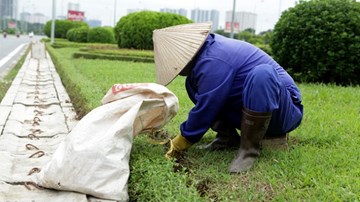500 tỉ đồng để cắt cỏ cho toàn Hà Nội là đắt hay rẻ?
