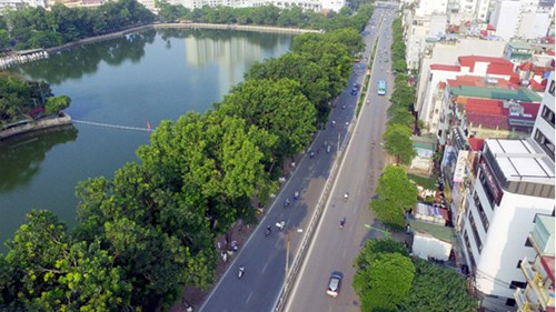 Dân Thủ đô buồn bã khi chứng kiến hàng xà cừ trăm tuổi bị di dời