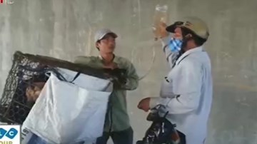 Thịt chó kém vệ sinh vì bị bơm nước bẩn tăng trọng